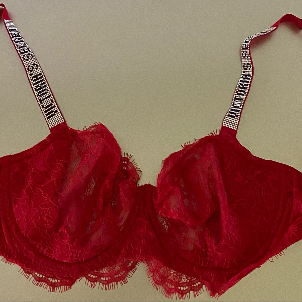 Victoria Secret Shine Strap Lace Bra Size 34DDD